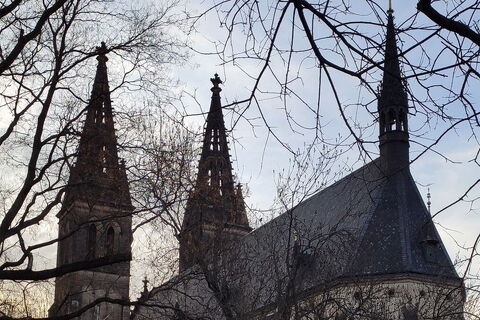 Robert Schumann: Missa sacra